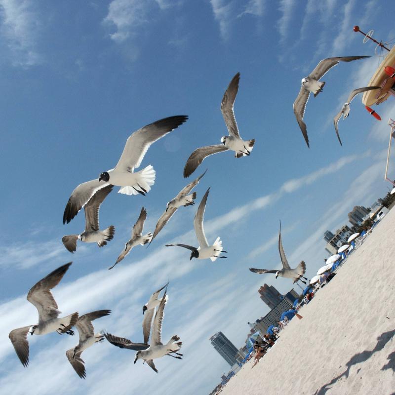 CK PIYO tour - Jógové zájezdy