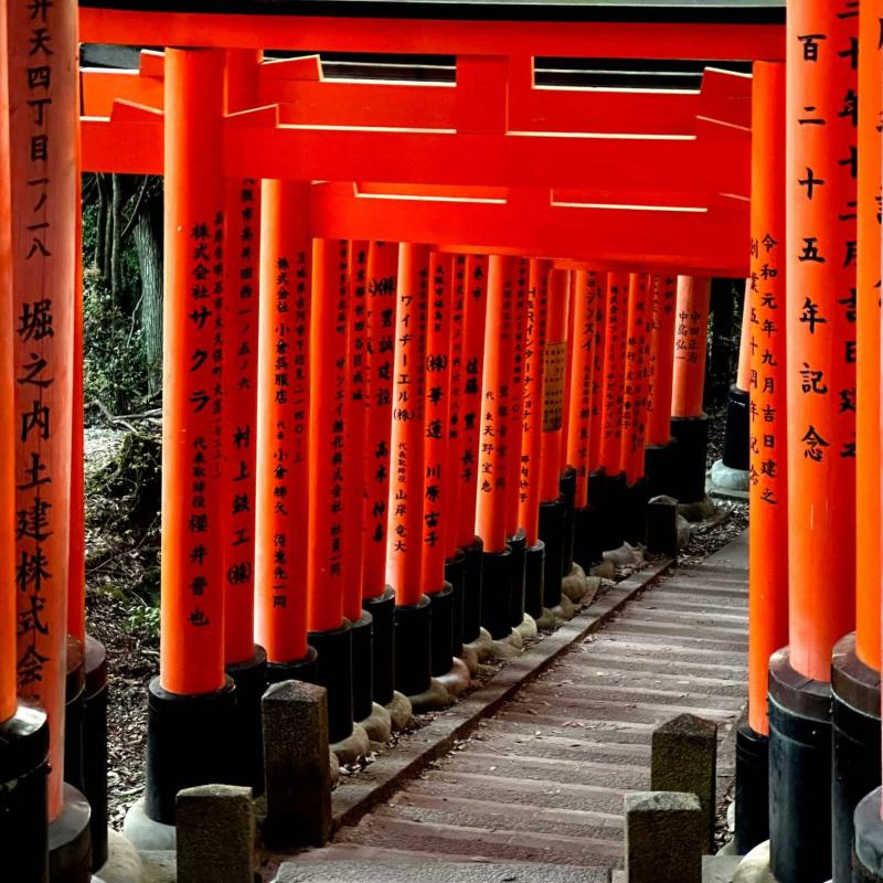 CK PIYO tour - Jógové zájezdy