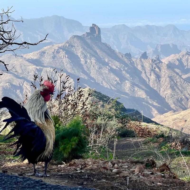 CK PIYO tour - Jógové zájezdy