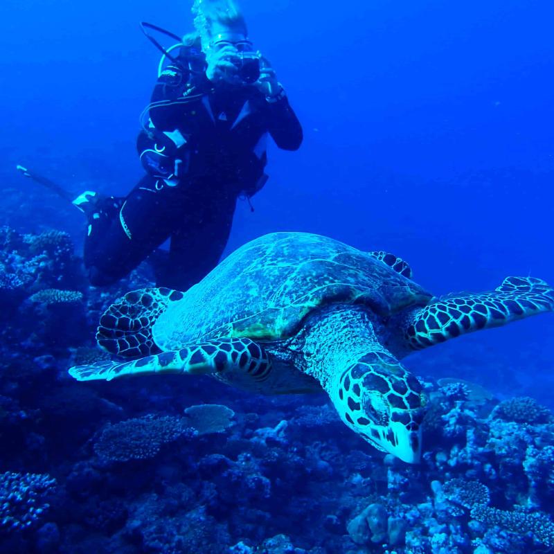 CK PIYO tour - Jógové zájezdy