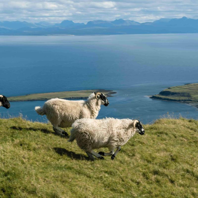CK PIYO tour - Jógové zájezdy