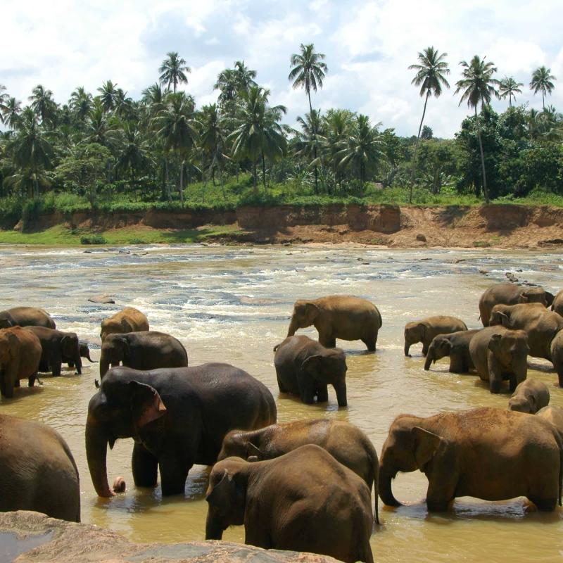 CK PIYO tour - Jógové zájezdy