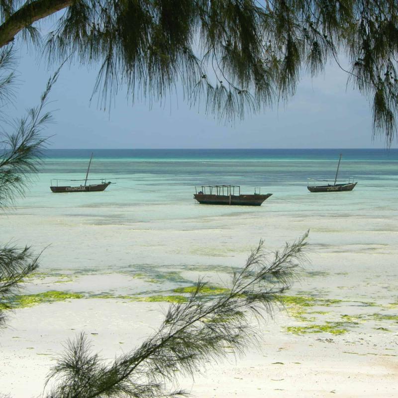 CK PIYO tour - Jógové zájezdy