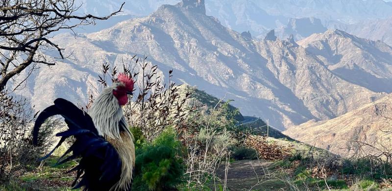 CK PIYO tour - Jógové zájezdy